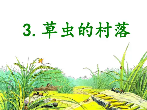 六年级上册语文课件-1.3《草虫的村落》人教新课标  (共19张PPT)