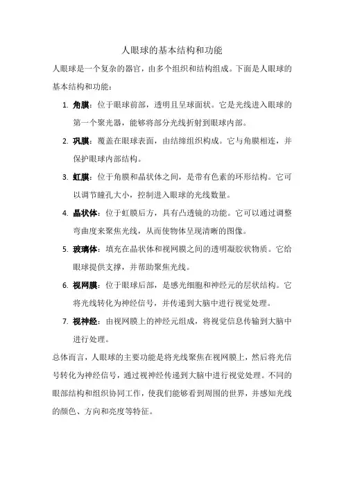 人眼球的基本结构和功能