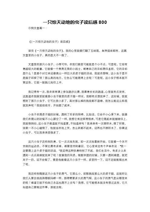 一只惊天动地的虫子读后感800
