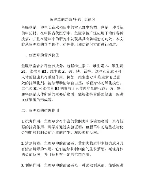 鱼腥草的功效与作用防辐射