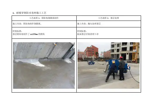 耐根穿刺防水卷材施工工艺