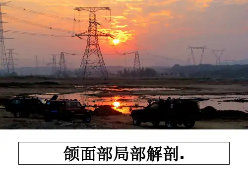 最新颌面部局部解剖.教学讲义PPT