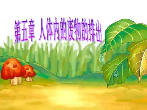 人体内废物的排出-示范课件PPT讲义