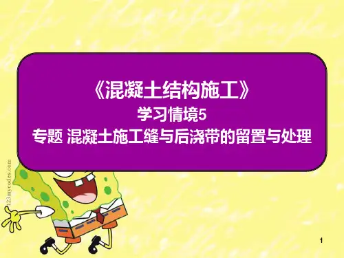 混凝土结构施工：专题---混凝土施工缝的留置与处理 PPT课件