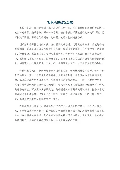 毛概地道战观后感
