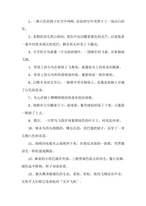 精选关于鸟儿的比喻句