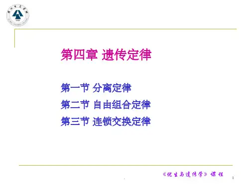 《遗传定律》PPT课件
