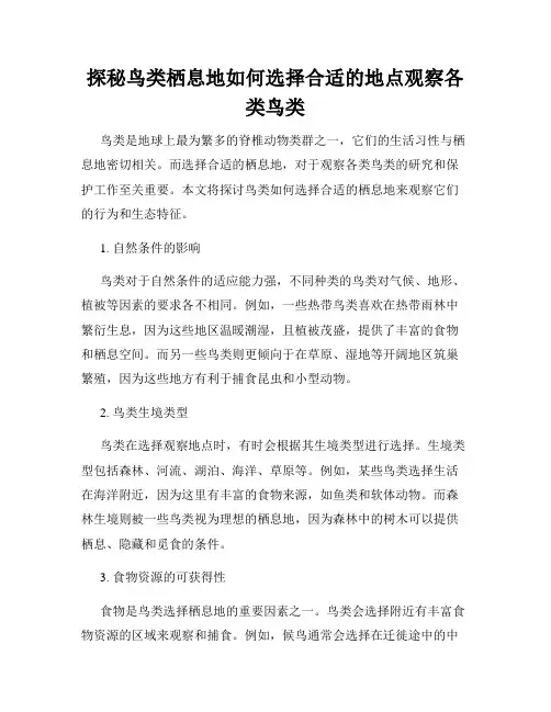 探秘鸟类栖息地如何选择合适的地点观察各类鸟类