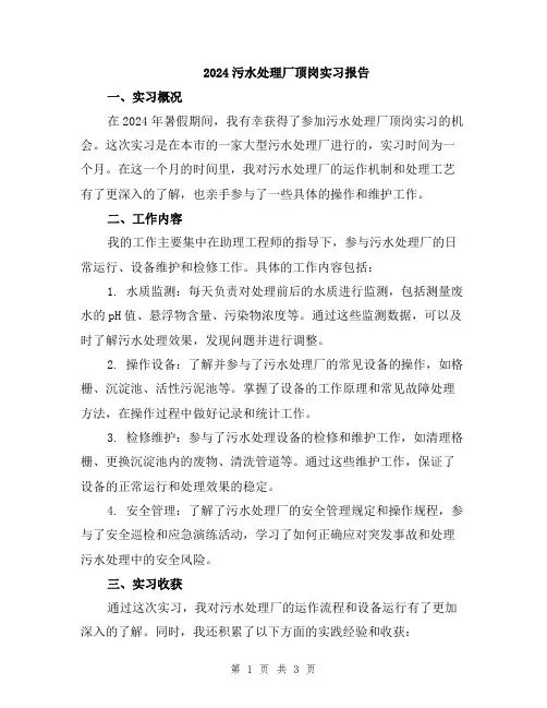 2024污水处理厂顶岗实习报告