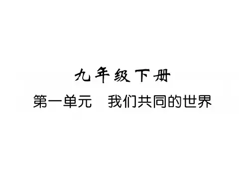 部编版九年级下册道德与法治复习课件全套精选全文