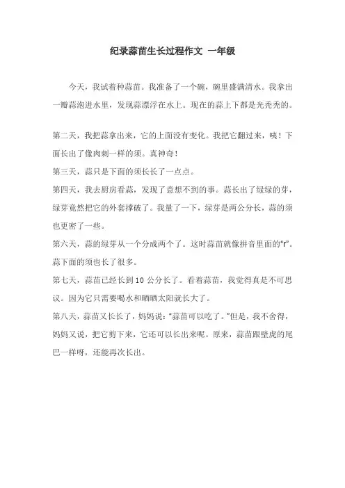 纪录蒜苗生长过程作文 一年级