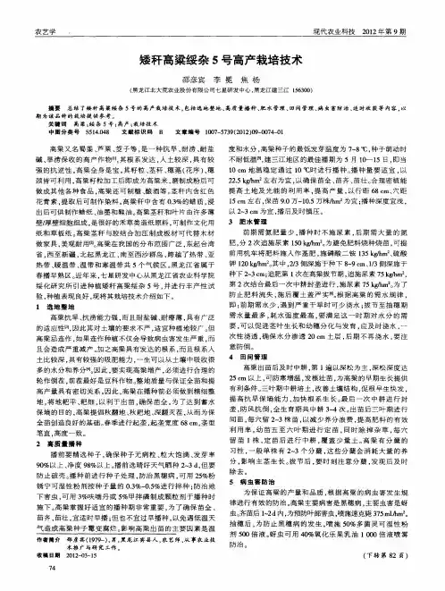 矮秆高粱绥杂5号高产栽培技术