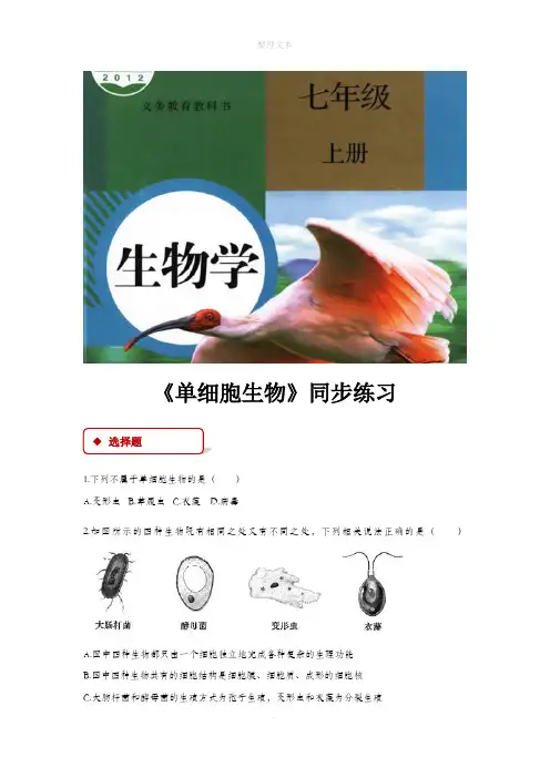 人教版七年级生物上册【同步练习】2.2.4《单细胞生物》(人教)