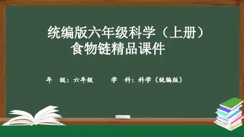 统编版六年级科学(上册)食物链精品课件