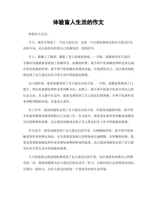 体验盲人生活的作文