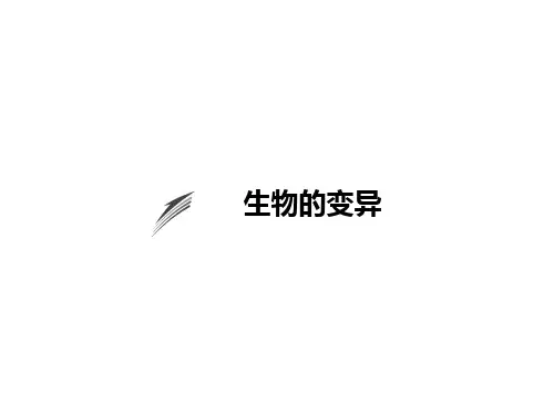 生物的变异
