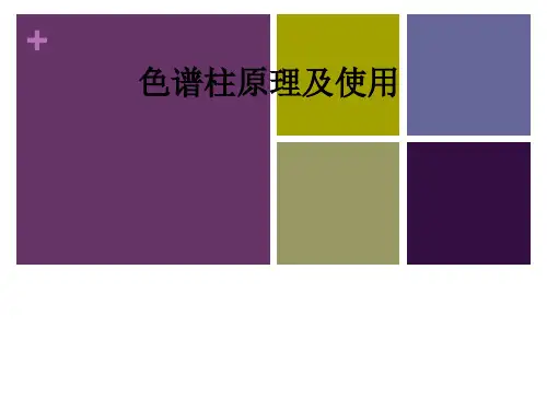 色谱柱原理及使用ppt课件