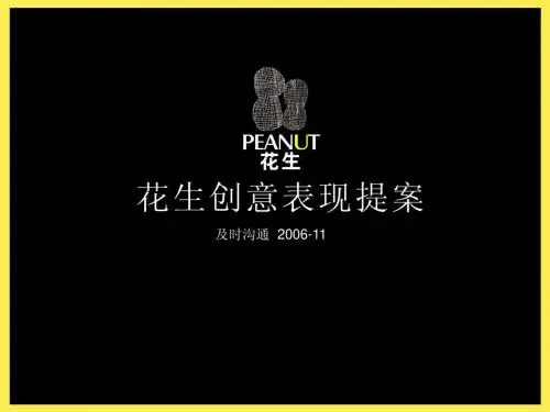 花生创意表现提案