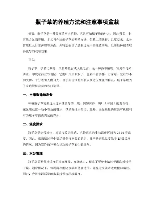 瓶子草的养殖方法和注意事项盆栽