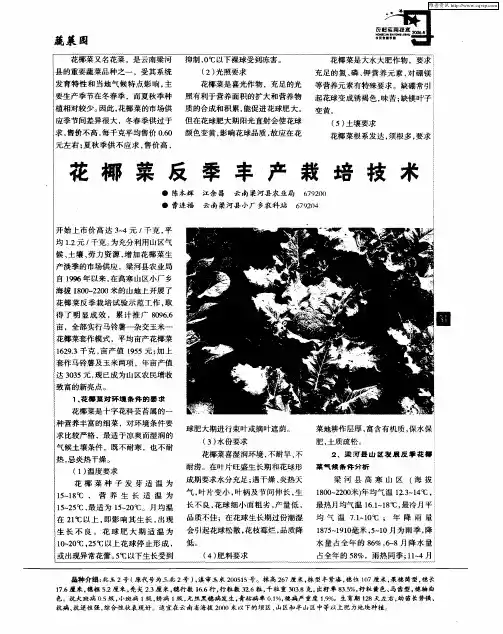 花椰菜反季丰产栽培技术