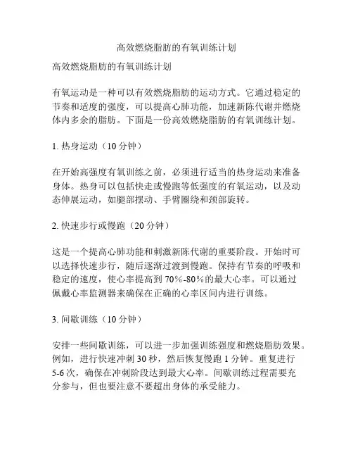 高效燃烧脂肪的有氧训练计划