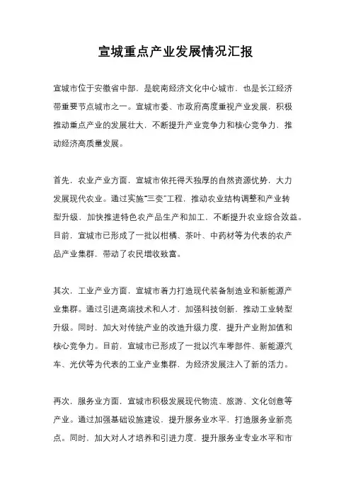 宣城重点产业发展情况汇报
