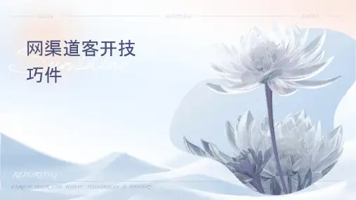 网络渠道客户开发技巧课件