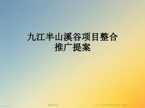 九江半山溪谷项目整合推广提案