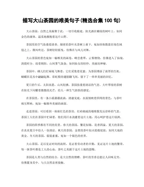 描写大山茶园的唯美句子(精选合集100句)