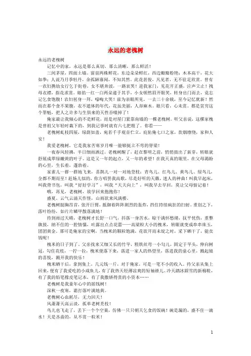 初中语文生活美文永远的老槐树
