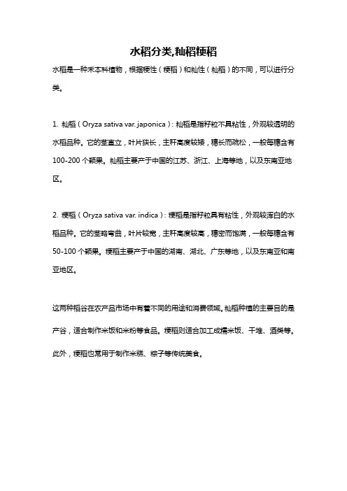 水稻分类,籼稻粳稻