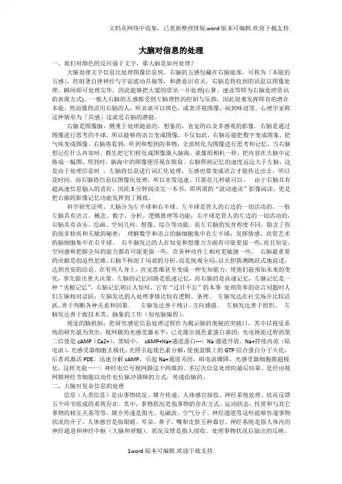 大脑对信息的处理