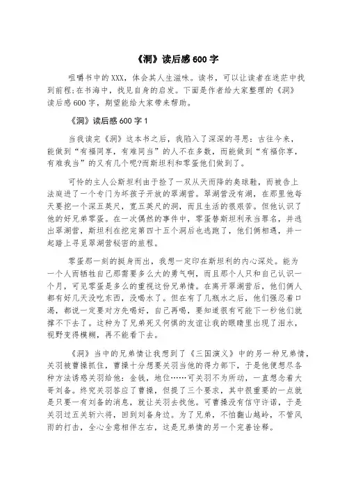 《洞》读后感600字