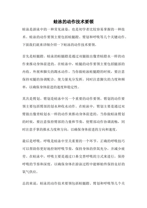 蛙泳的动作技术要领