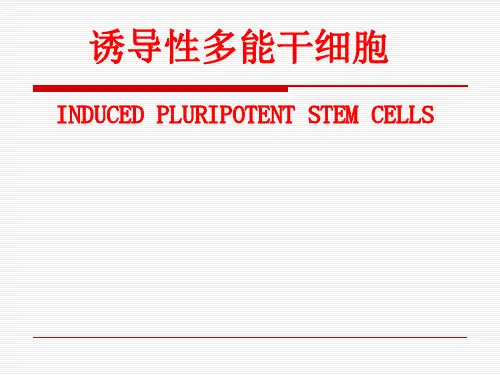 【复旦大学-高级病理生理学学习】_诱导性多能干细胞-_20200425234131