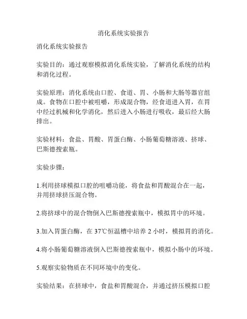消化系统实验报告