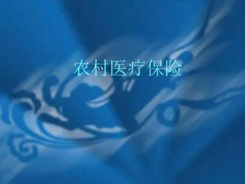 泉州地区之新型农村医疗合作保险ppt课件