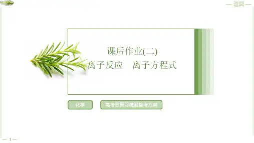 课后作业2离子反应离子方程式2025年高考化学一轮复习