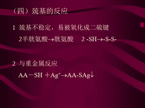 生物化学—巯基的反应