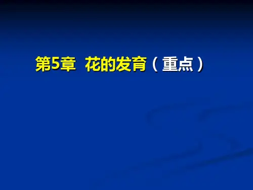 花的发育