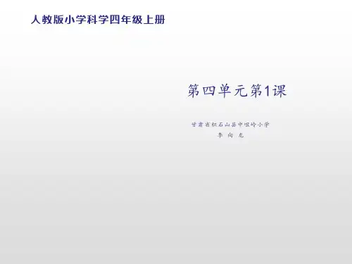 四年级上册科学课件-4.2阳光下的影子 人教版 (共20张PPT)