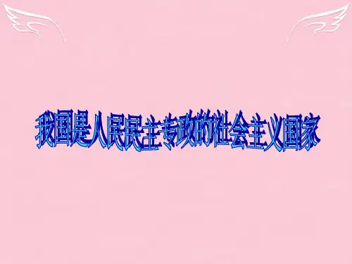 高考政治人民民主专政的社会主义国家复习课件
