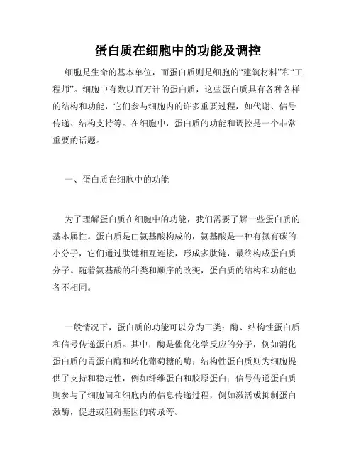 蛋白质在细胞中的功能及调控