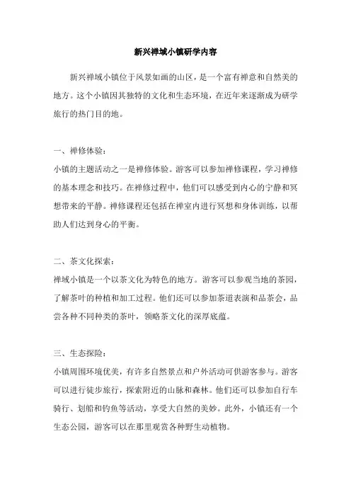 新兴禅域小镇研学内容