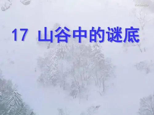 17山谷中的谜底ppt