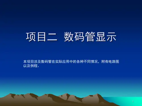 51单片机_数码管显示演示幻灯片