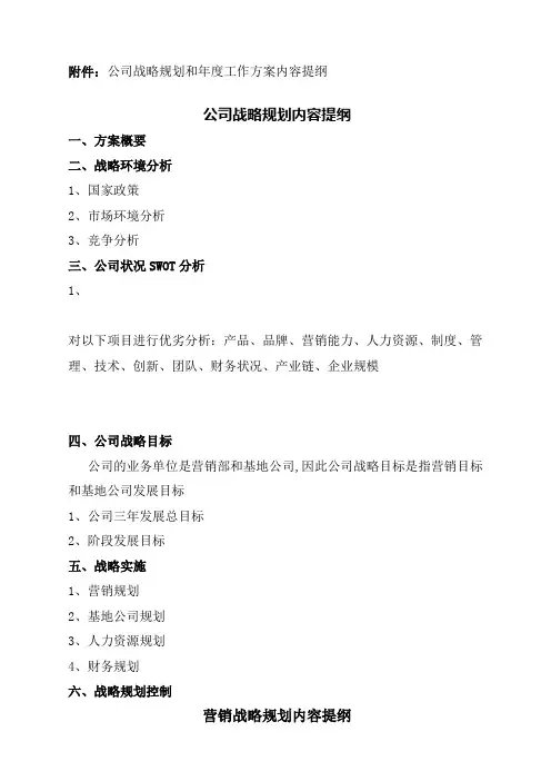 公司战略规划和实施方案内容提纲