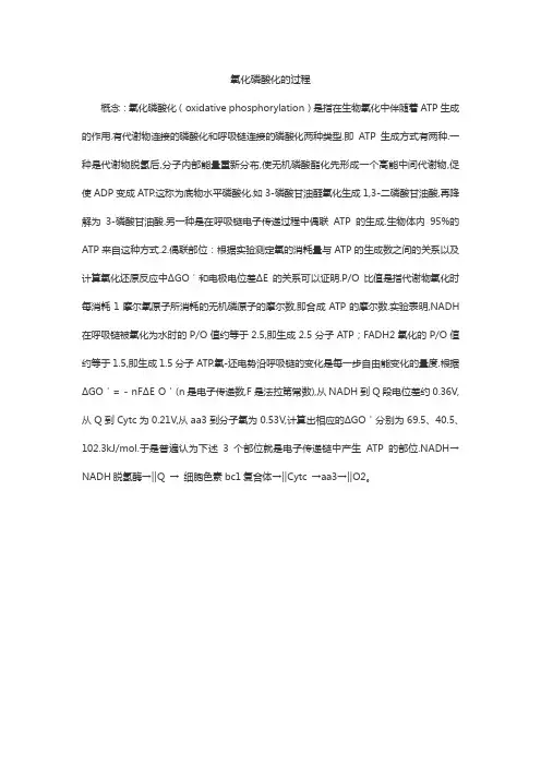 氧化磷酸化的过程