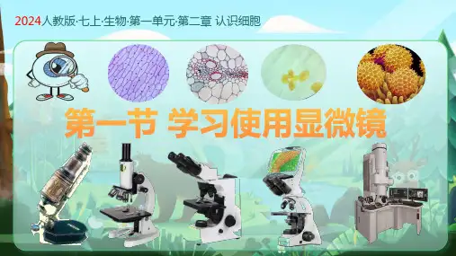 练习使用显微镜ppt课件
