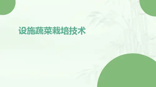设施蔬菜栽培技术